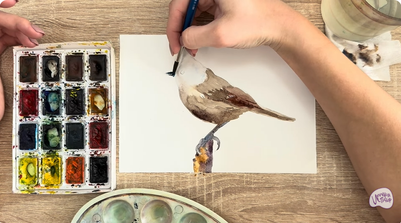 Рисуем Хохлатая синица