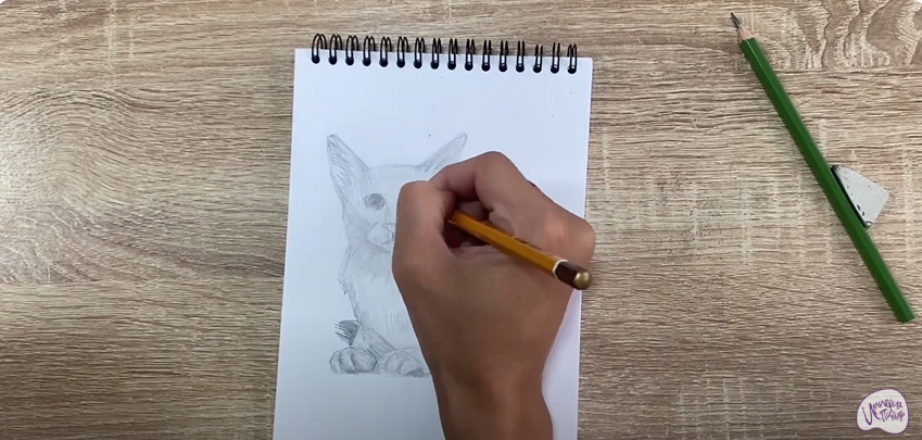 Рисуем Балинезийская кошка