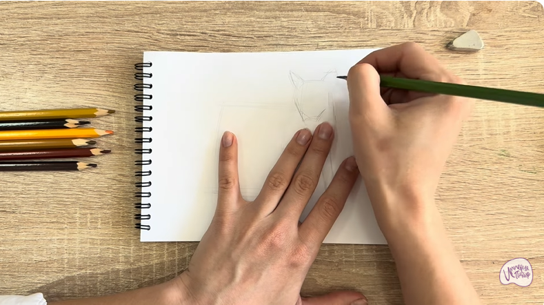 Рисуем Кот породы Оцикет