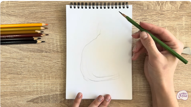 Рисуем Кошка Тойгер