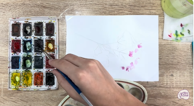 Рисуем Душица