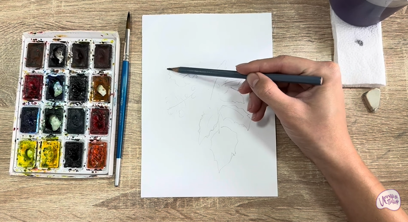 Рисуем Магония