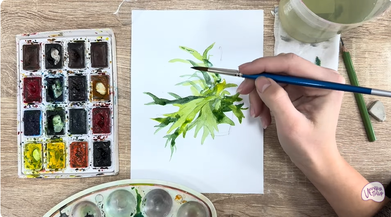 Рисуем Платицериум в горшке