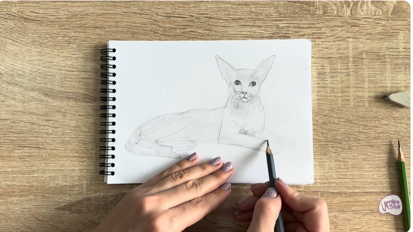 Рисуем Ориентальная кошка