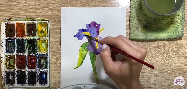 Рисуем Ирис