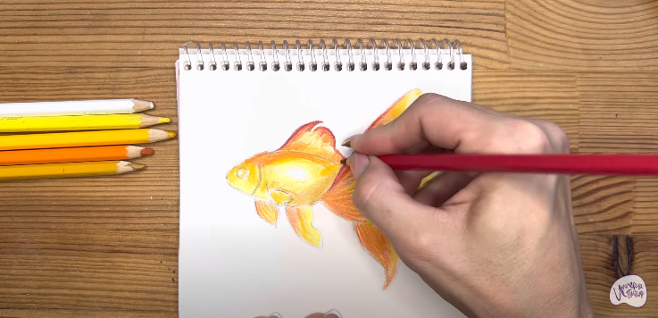 Рисуем Золотая рыбка