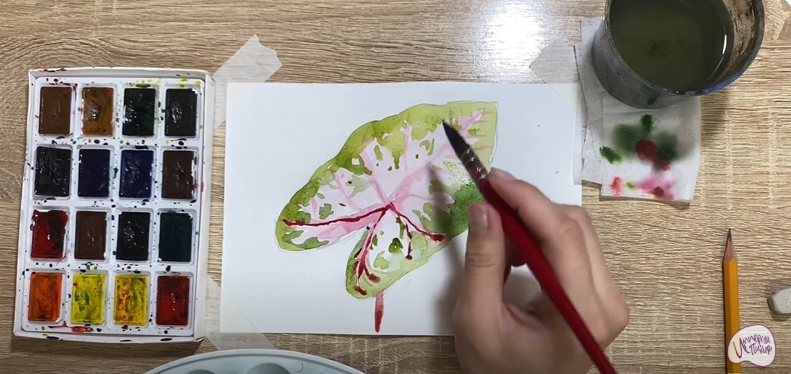 Рисуем Лист каладиума