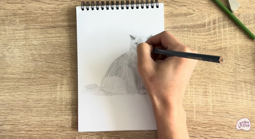 Рисуем Кошка породы Рэгдолл