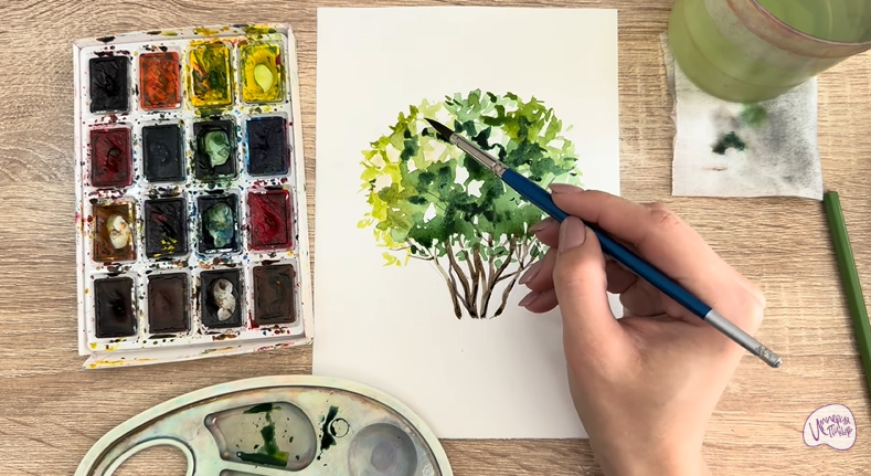 Рисуем Саженец бирючины