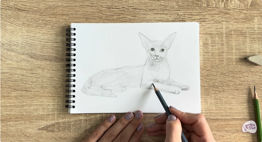 Рисуем Ориентальная кошка