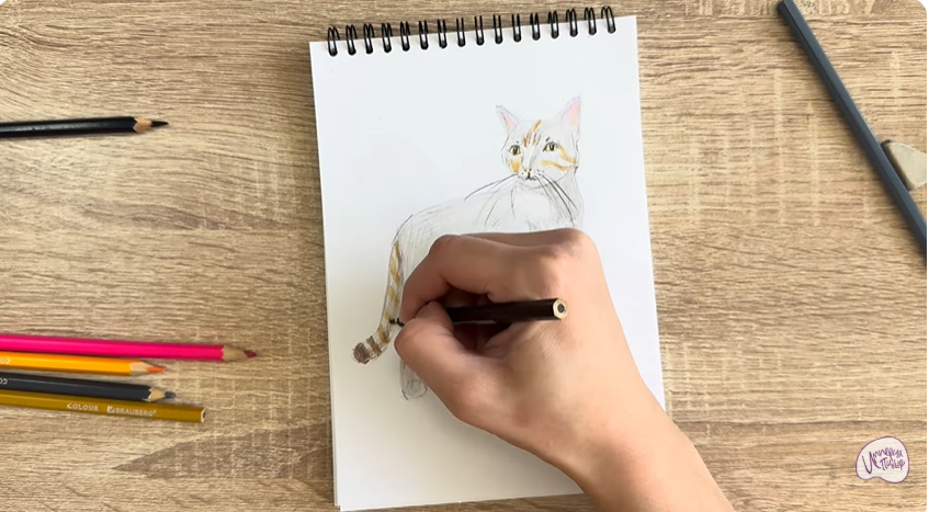 Рисуем Кошка Бурмилла
