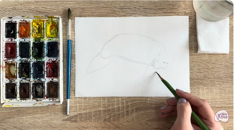 Рисуем Дюгонь