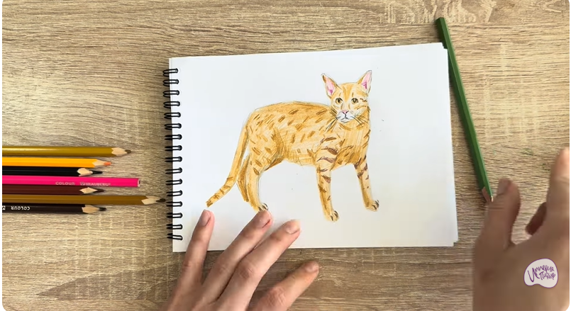 Рисуем Кот породы Оцикет