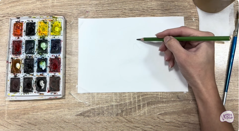 Рисуем Очиток