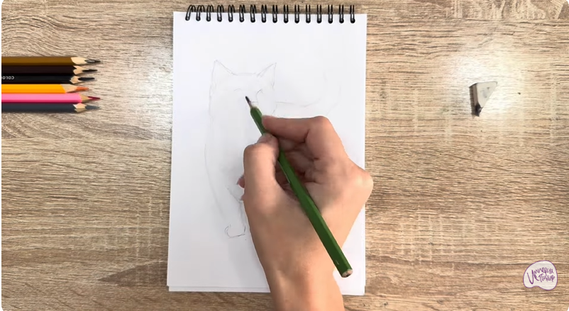 Рисуем Кошка породы "Манчкин"