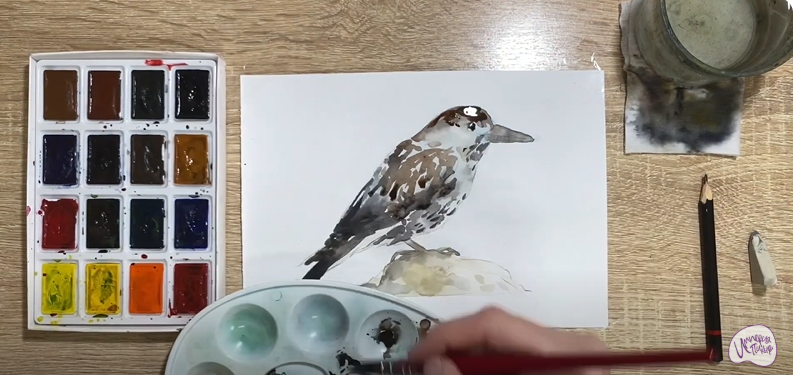 Рисуем Кедровка