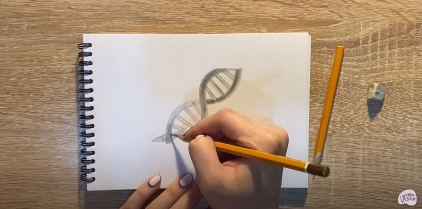 Рисуем ДНК