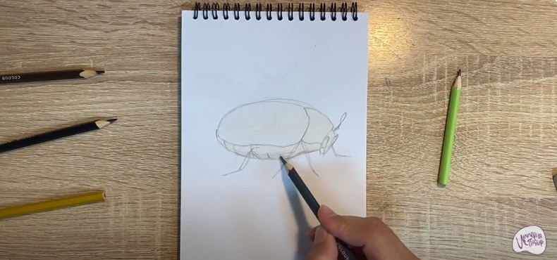 Рисуем Кожеед