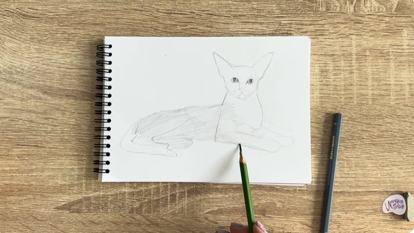 Рисуем Ориентальная кошка