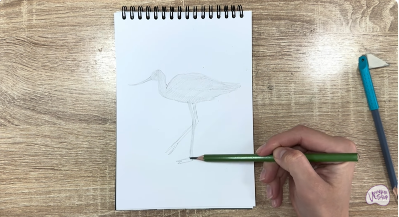 Рисуем Шилоклювка