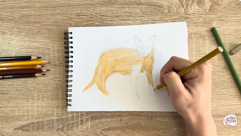 Рисуем Кот породы Оцикет