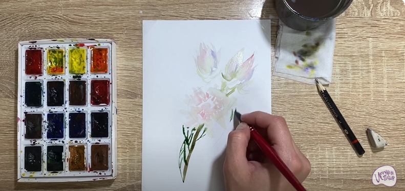 Рисуем Цветок "Серрурия"