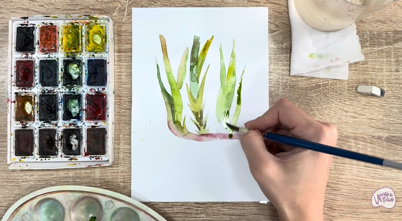 Рисуем Аир болотный