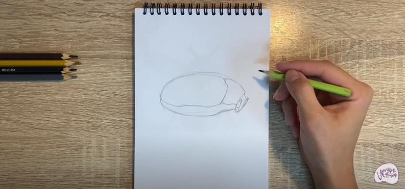 Рисуем Кожеед