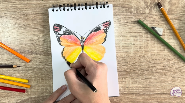 Рисуем Малинница обыкновенная