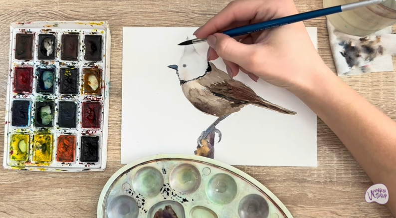 Рисуем Хохлатая синица