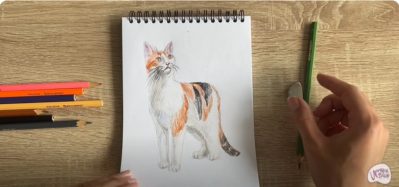 Рисуем Кот породы "японский бобтейл"