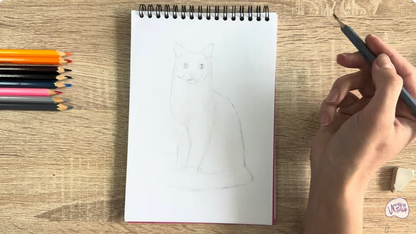 Рисуем Кот породы "Турецкий ван"
