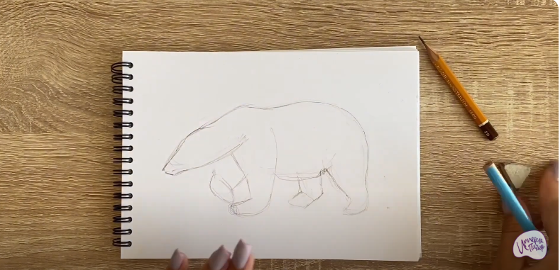 Рисуем Белый медведь