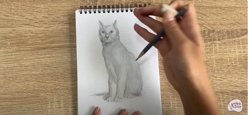 Рисуем Турецкая ангора