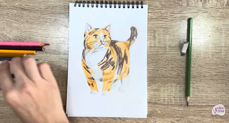 Рисуем Кошка породы "Манчкин"