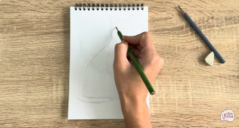 Рисуем Бурманский кот