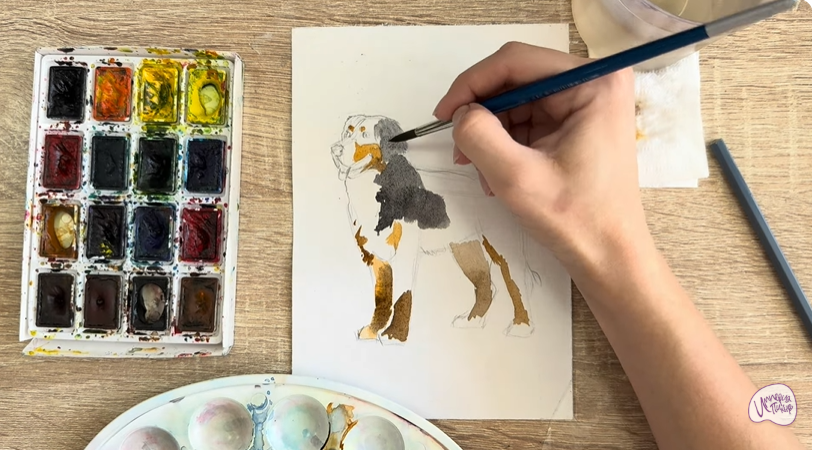 Рисуем Собака породы Бернский зенненхунд