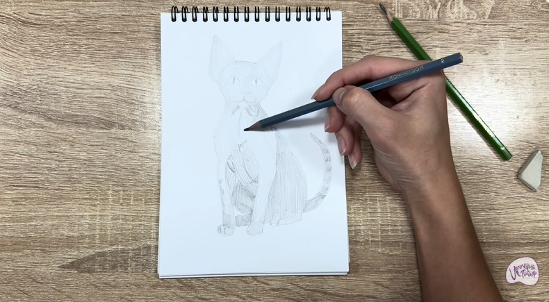 Рисуем Девон Рекс