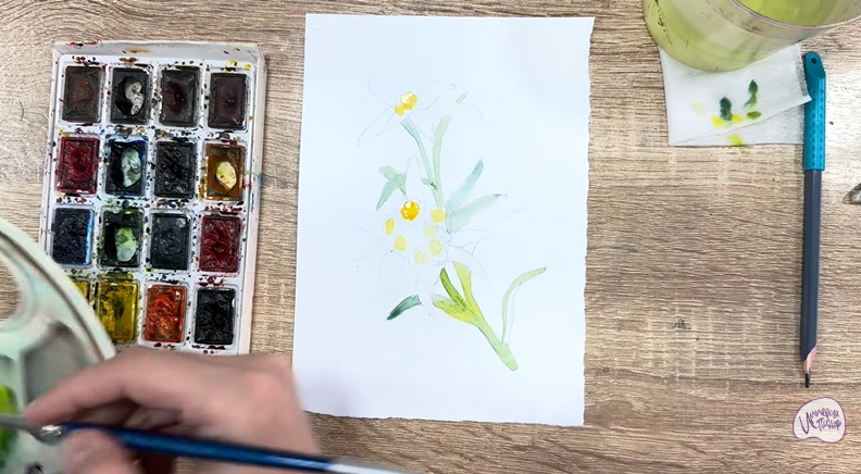 Рисуем Эдельвейс