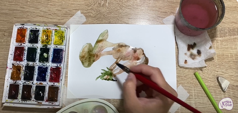 Рисуем Аскокорине торфяная
