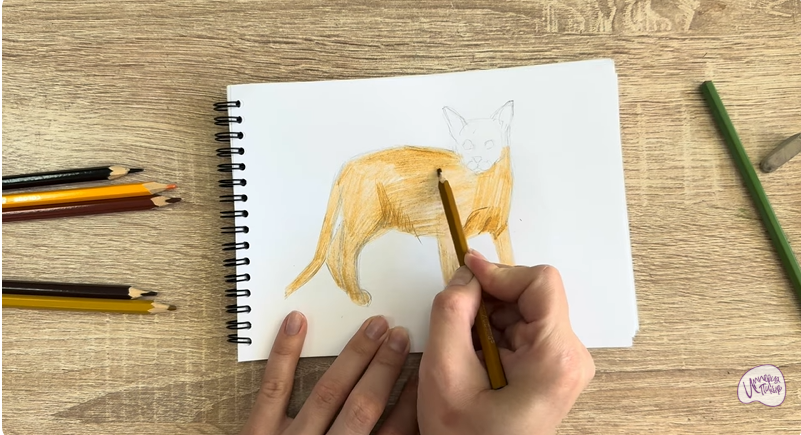 Рисуем Кот породы Оцикет