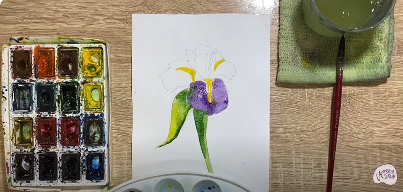Рисуем Ирис