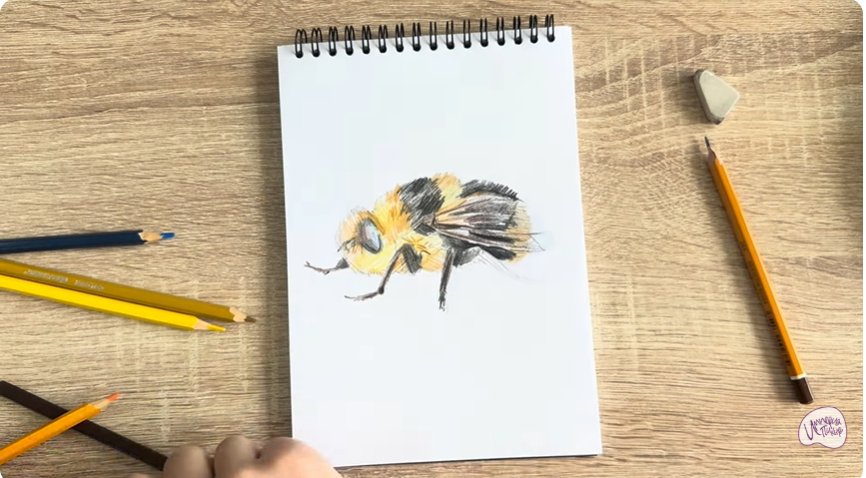 Рисуем Овод