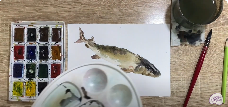 Рисуем Стерлядь