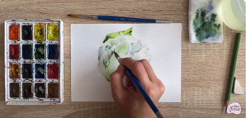 Рисуем Цветная капуста