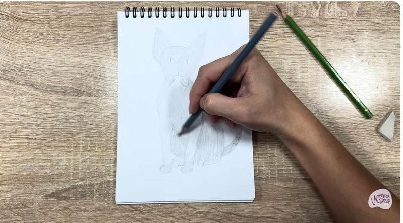 Рисуем Девон Рекс