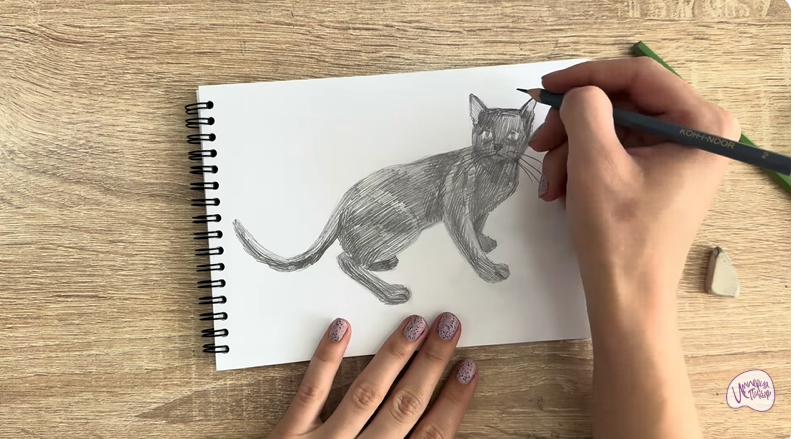 Рисуем Бомбейская кошка