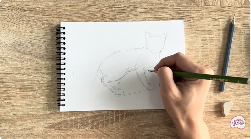 Рисуем Бомбейская кошка