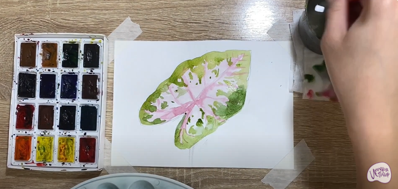 Рисуем Лист каладиума