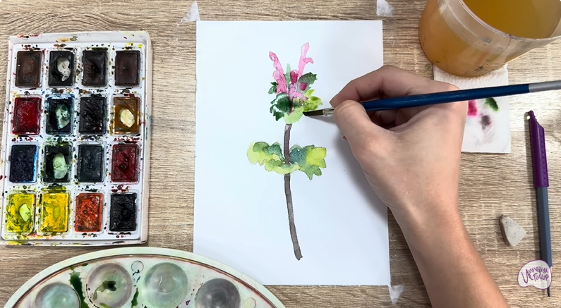 Рисуем Яснотка